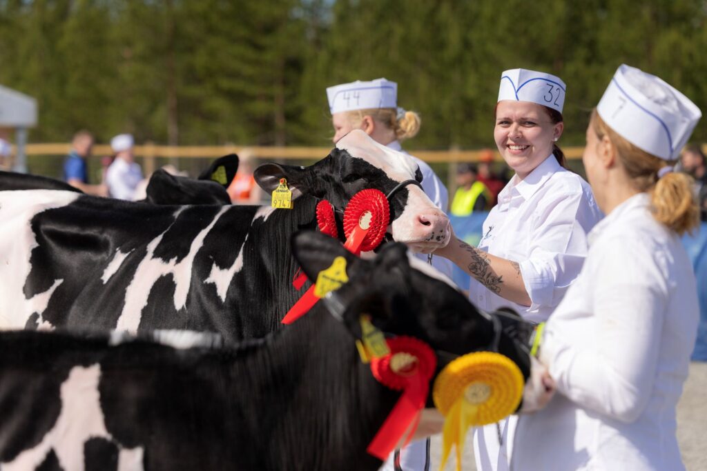 Karjanäyttelyn osallistujia ja palkittua karjaa kalajoen farmari-messuilla.