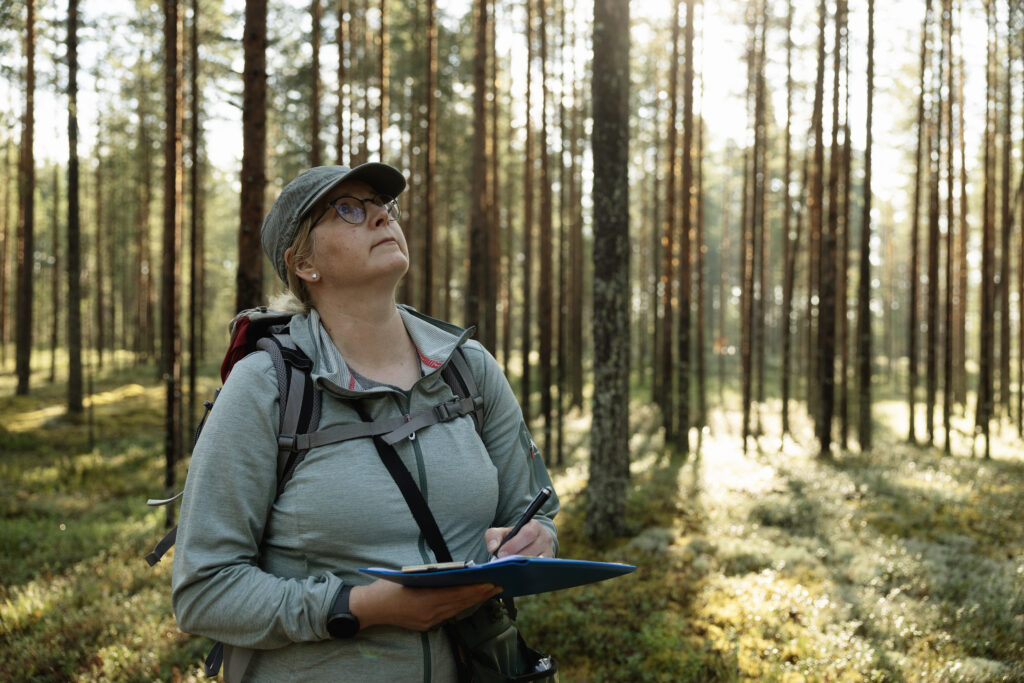 Afry-yhtiön luontokartoittaja, biologi Ella Kilpeläinen tarkastelee metsää osana luontokartoitusta.