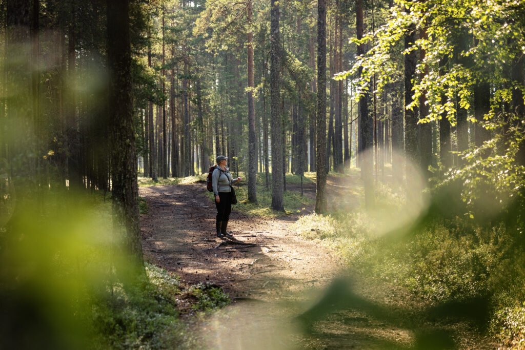 Suojeltava luonto ja rauhoitetut lajit otetaan huomioon Gasgridin vetyverkon suunnittelussa. Kuvassa Ella Kilpeläinen, joka toteuttaa luontokartoitusta. 