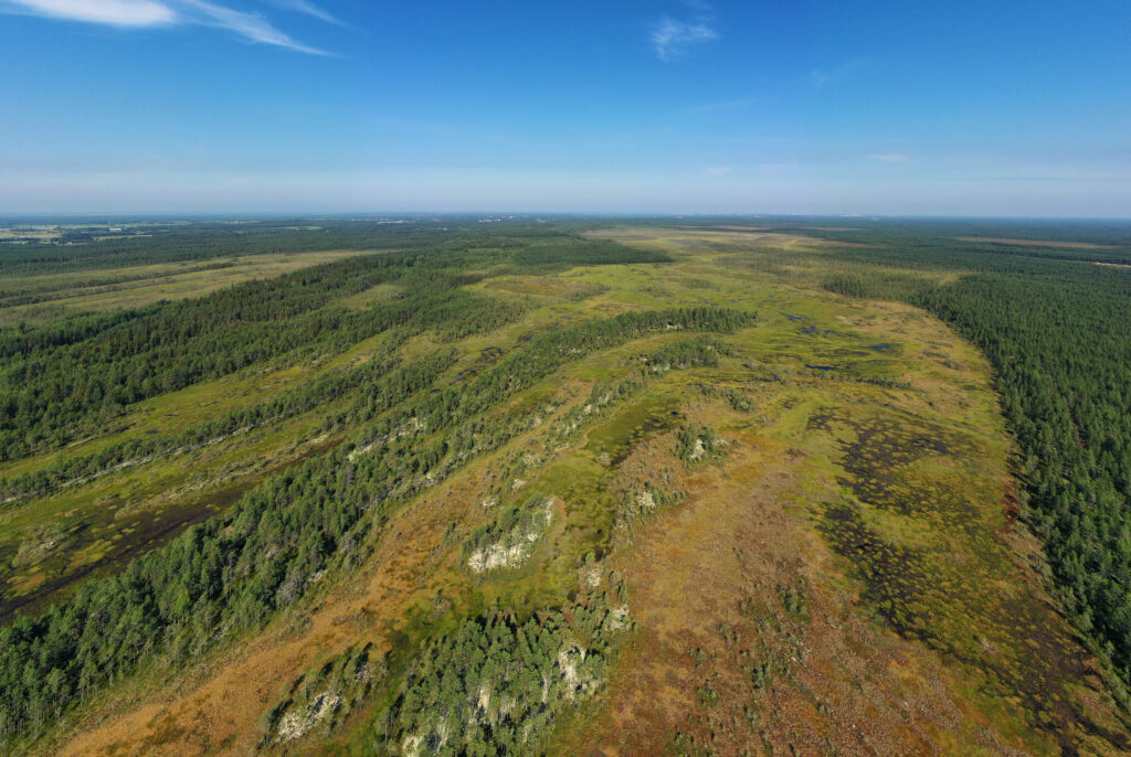 Kansalliselle vetyverkolle on parhaillaan alkuvaiheessa viisi ympäristövaikutusten arviointimenettelyä (YVA), joihin liittyen toteutetaan muun muassa luontokartoitukset. Kuvassa on maisemakuvaa. 